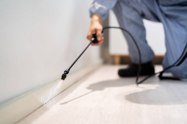 Bed Bug Pre-Treatment Preparation Assessment in Corinth