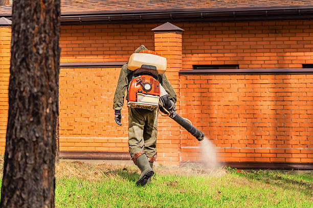 Bed Bug Clearance Verification and Documentation in Corinth